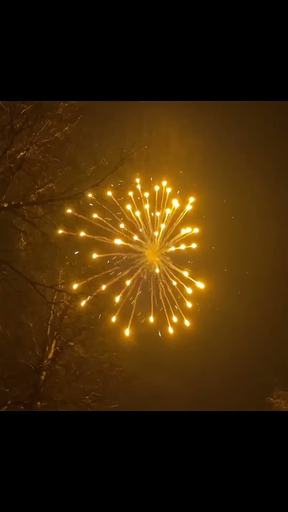 Orange&white firework shell #fireworks