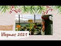 Vlogmas 5 - 2021 🎄 ¡Por fin al vivero! 🌺