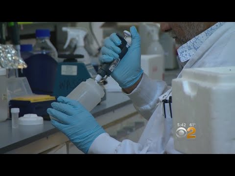 New Stem Cell