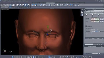 Improved Retopology in Hexagon 2 5