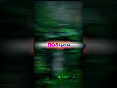 трансформеры эдит ||