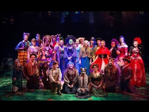 shrek the musical wicked witch