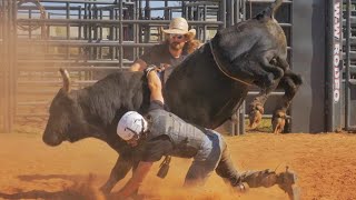 We Bought WILD Bulls From A Sale Barn! (INJURY WARNING) Rodeo Time 350
