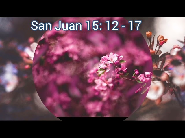 San Juan 15 : 12 - 17  - Esther Larios class=