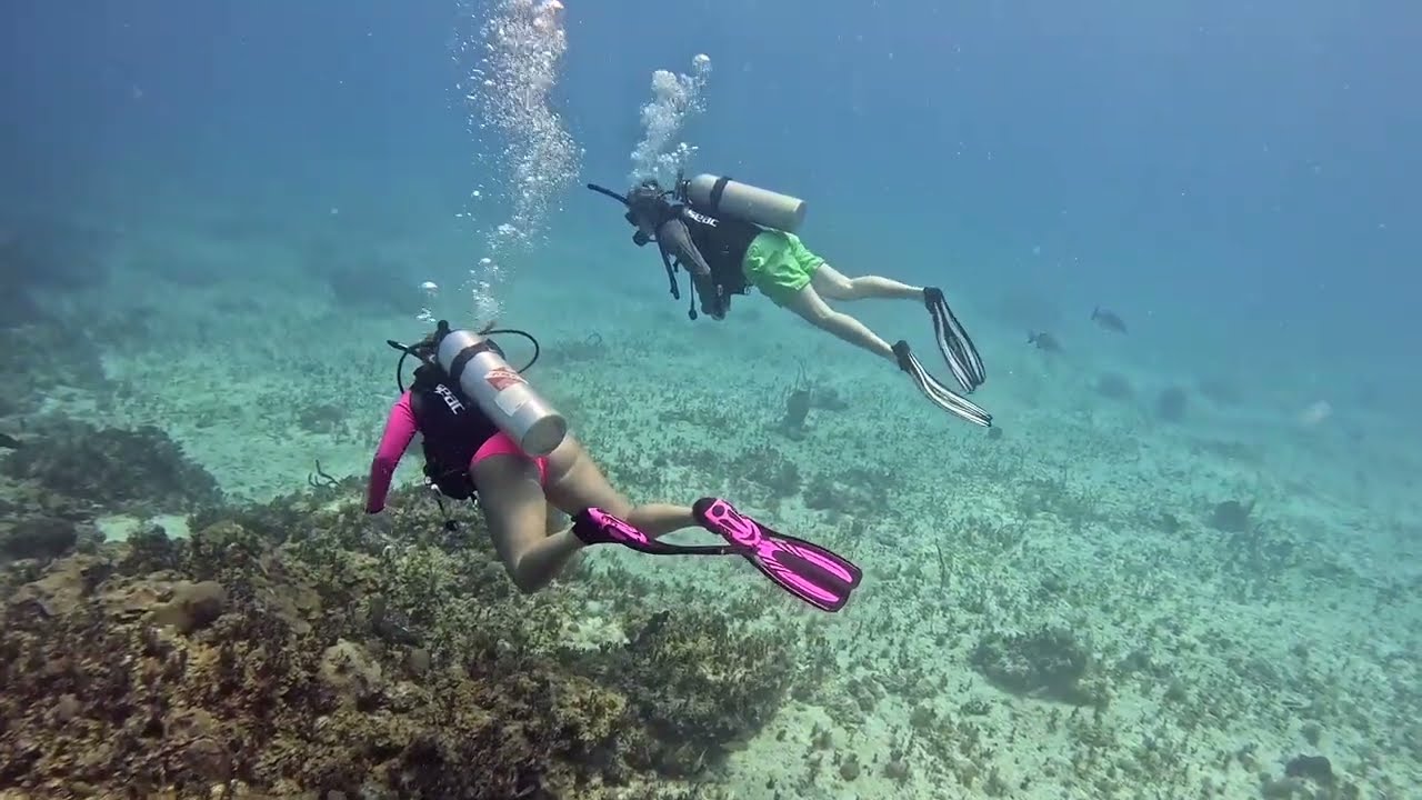 Bimini underwater magic. 🤿🌊✨
