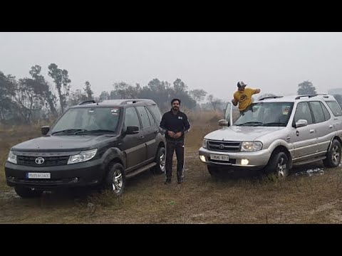 safari storme vs dicor