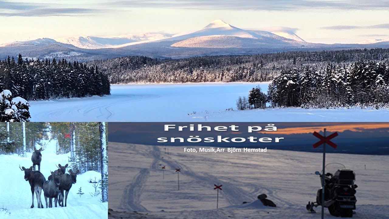 Frihet på snöskoter