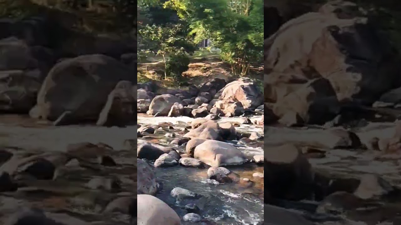 Silonijan picnic spot // 