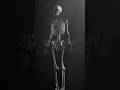 Human body skeleton in 3d animation | 3d anatomy #medicalstudent #3danatomy #skeletalsystem