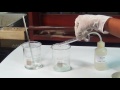 Preparation of Pure Sample of Potash Alum - MeitY OLabs