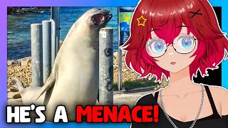 Australia Is CURSED | Vtuber Reacts to MoreParz