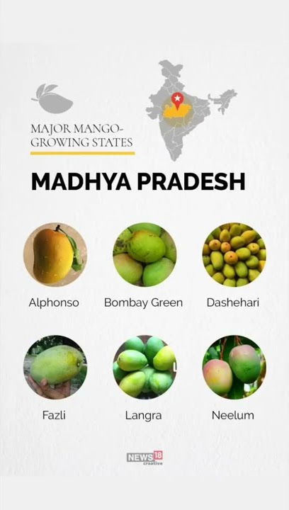 The 'Mango 🥭' Map Of India | CNBC TV18 #Shorts