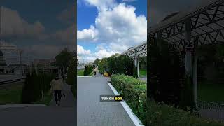 На пути в Светлогорск 🛤️#калининград #кудапоехать #путешествия
