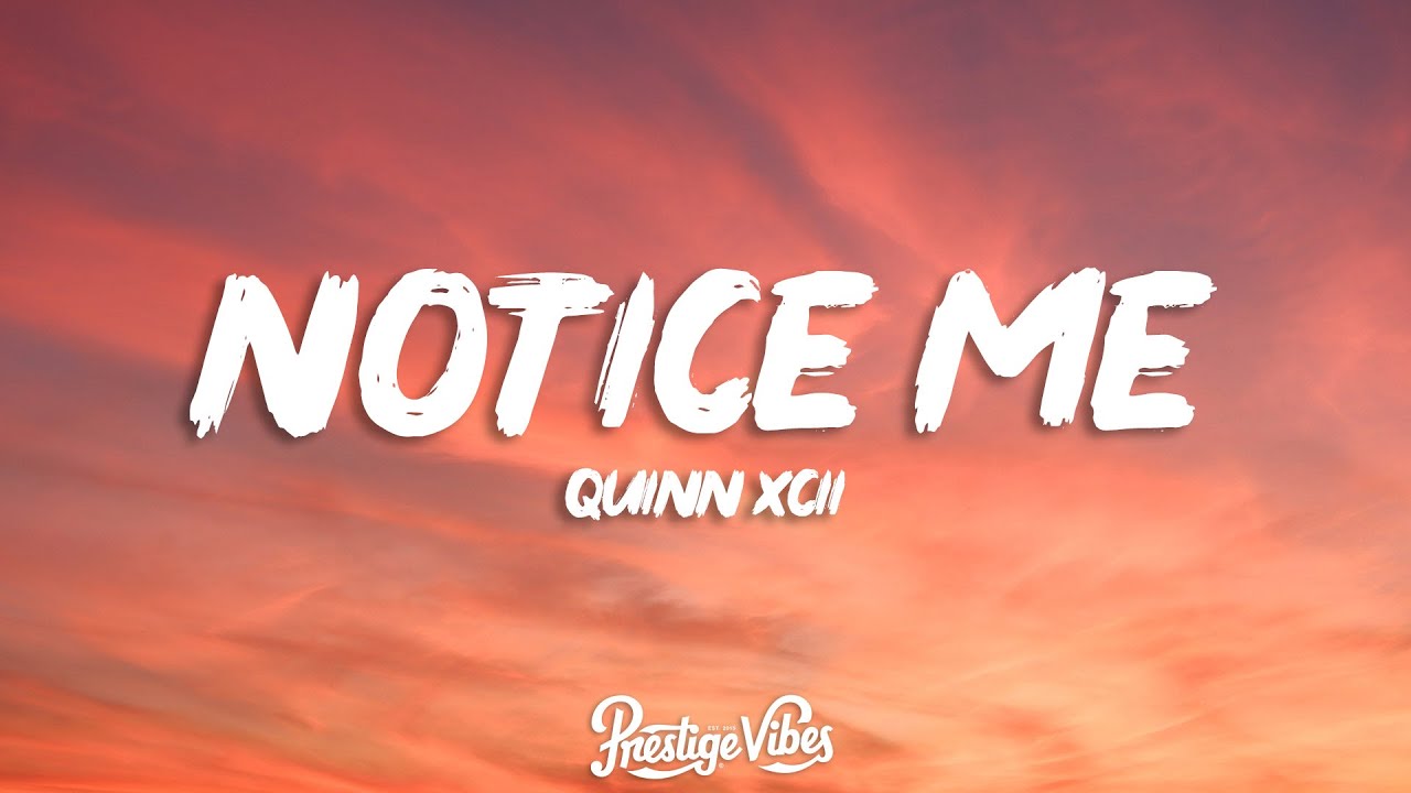 Quinn XCII Notice Me (Lyrics) YouTube