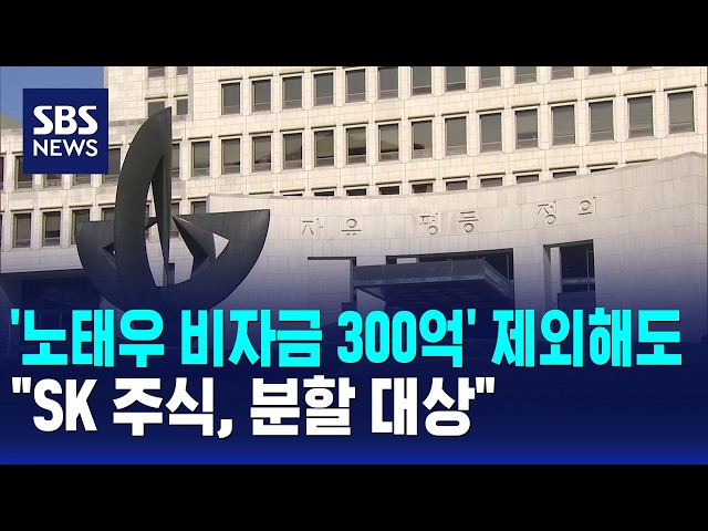 '노태우 비자금 300억' 제외해도.."SK 주식, 분할 대상" / SBS