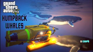 GTA  5 | Humpback Whales Location | (1080p)