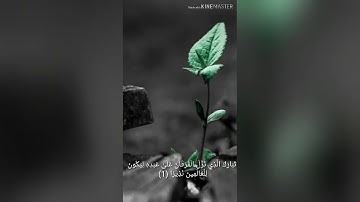 تلاوة عطرة مما تيسر من سورة الفرقان🌾