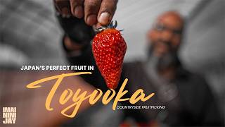 The Japan You’re Dreaming of Finding: Toyooka