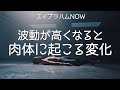波動が高くなると身体に起こること【エイブラハムNOW】
