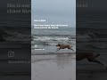 Just some random Chiku videos