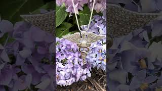 Nurse Caduceus Pearl Pendant By AOS Design