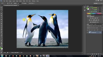 Class- 7th, ch- 5, Introduction to Photoshop