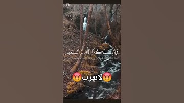 #حالات_واتس #تلاوة_مؤثرة #تلاوة_خاشعة #إسلام_صبحي #حالات #صوت_يريح_القلب #قرآن #صلوا_علي_النبي