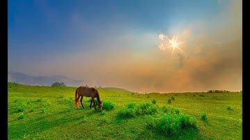 JQuery Integration in Laravel