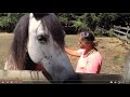 Horse Healer & Animal Communicator - Fact or Fiction? I Give My Opinion
