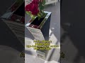 The Crushed Diamond Mirror Vase: Hypnotic Beauty in Home Decor