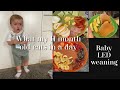 What My 11 Month Old Eats In A Day | Baby Led Weaning | Becky Louise