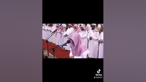 ياسر الجعيلي سورة النجم