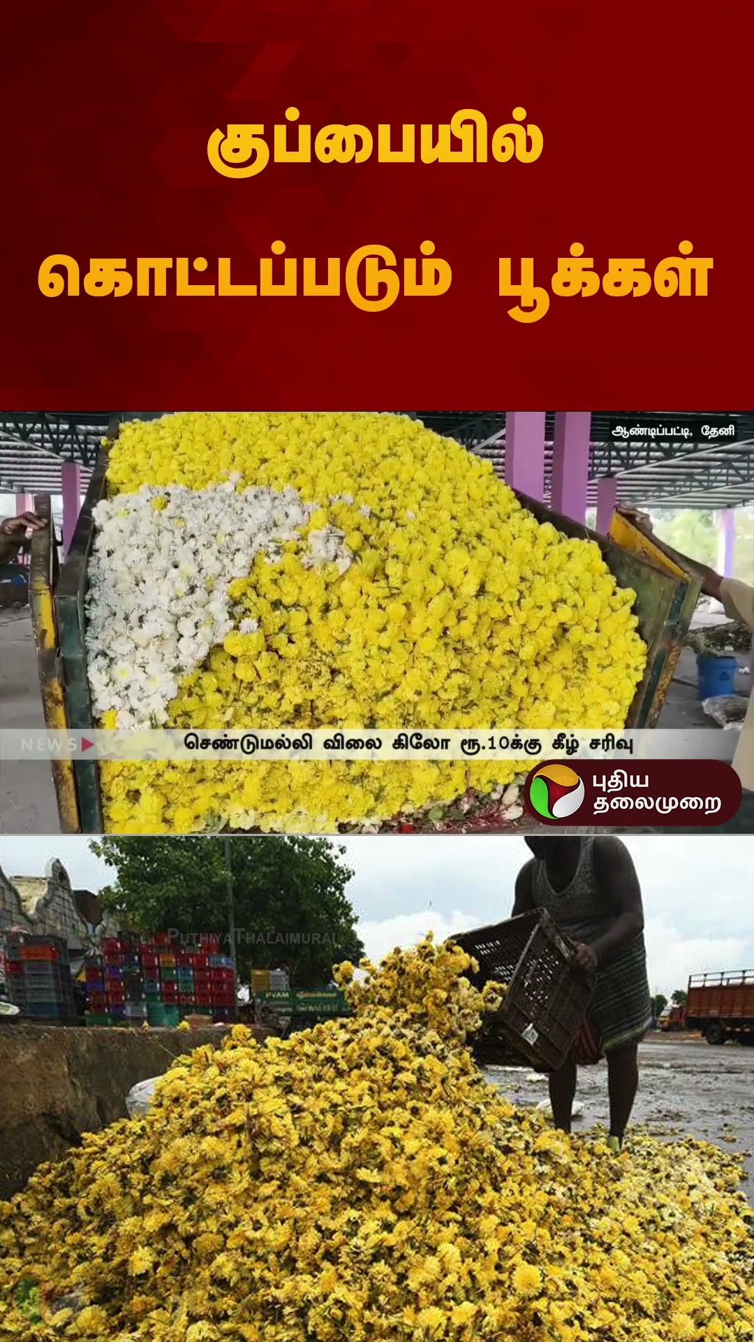 குப்பையில் கொட்டப்படும் பூக்கள் | #flower | #theni | #andipatti | #flowermarket | #shorts