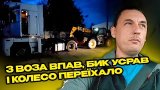 Renault Magnum 'приехал' | В рейс на своей старой Renault Premium 🤗 | История от дальнобоя