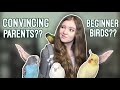 The Reality of Living With Parrots When You’re in School! *Should kids own birds?*