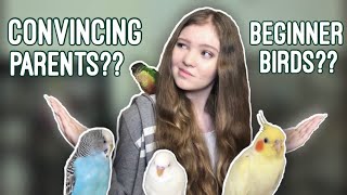 The Reality of Living With Parrots When You’re in School! *Should kids own birds?*