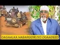 Beelaha Ogaadeen Habargidir Oo Ku Dagaalamay Dowlad Deegaanka Ayaa Baaq Nabadeed Loo Diray Beelaha Ogaadeen Habargidir Oo Ku Dagaalamay Dowlad Deegaanka Ayaa Baaq Nabadeed Loo Diray