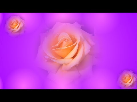 С Днем рождения Светлана
