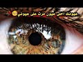 يا حزن غني وجيس الصواب تانيتهم حد ماغفه الباب