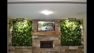 Living Wall Installation - Step by Step