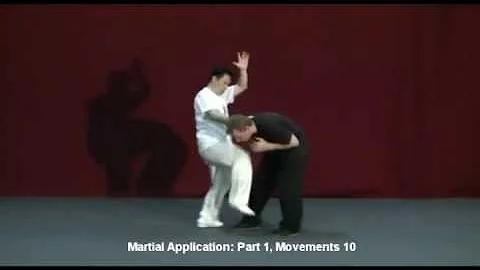 Fanzi Quan DVD Trailer - Master Shao Zhao Ming