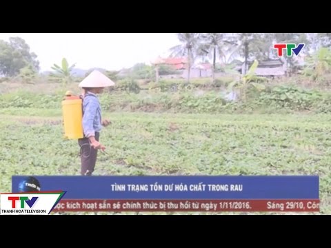 Video Cảnh báo tình trạng tồn dư hóa chất trong rau - youtube
