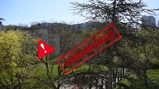 COVID-19, Interview de Youssouf Ali, vlog sur le corona virus.