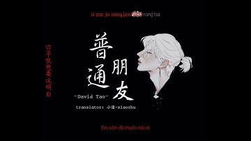 [ Vietsub+ Pinyin] Bạn Bè Bình Thường - David Tao| 普通朋友