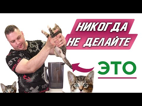 Что НЕЛЬЗЯ делать в БЛЕНДЕРЕ?? Сохрани жизнь своему устройству! Лайфхаки о блендерах (2019)