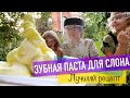 ЗУБНАЯ ПАСТА ДЛЯ СЛОНА ЛУЧШИЙ РЕЦЕПТ. Такого ты ещё не видел! 13+