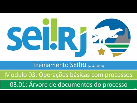 SEI!RJ Módulo 03.01 Árvore de documentos do processo