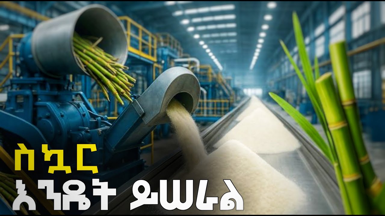 ለስኳር ያሎት አመለካከት ይቀየራል ||making process of sugar #howitsmade