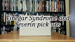 Details Shudder films from Vinegar Syndrome and one from Severin Update
