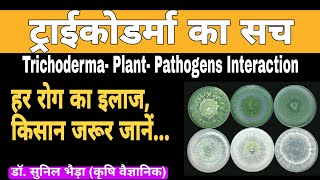What is Trichoderma ? How Trichoderma Work ? Trichoderma- Plant- Pathogens Interaction#khetikadoctor